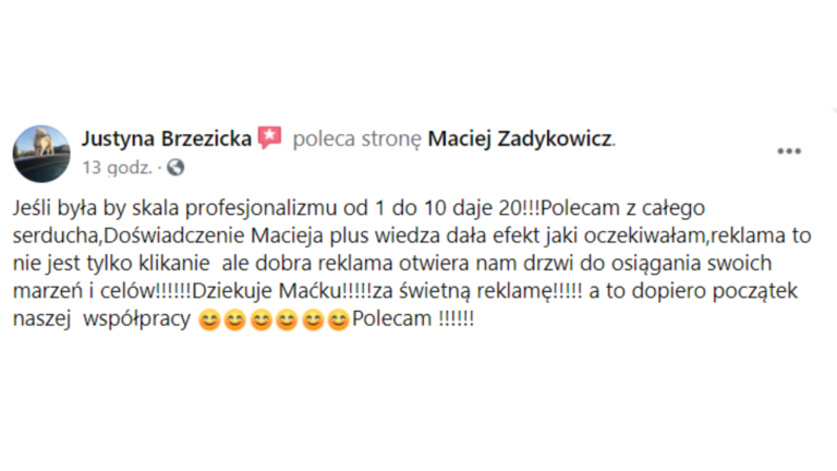 Justyna Brzezicka recenzja